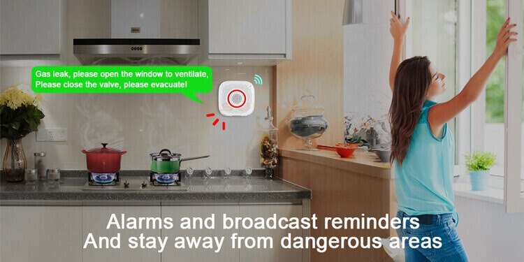 smart gas detector wifi gas sensor with voice alarm