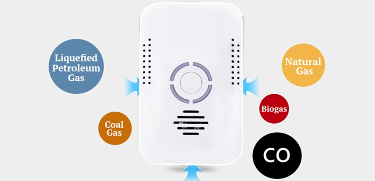 carbon monoxide and natural gas detector