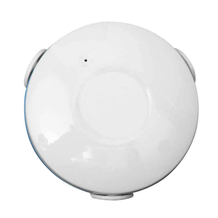 Flood &nbsp;z wave water sensor&nbsp;