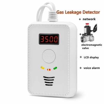 Relay Output Multi CO And Combustible LPG GasDetector LCD display