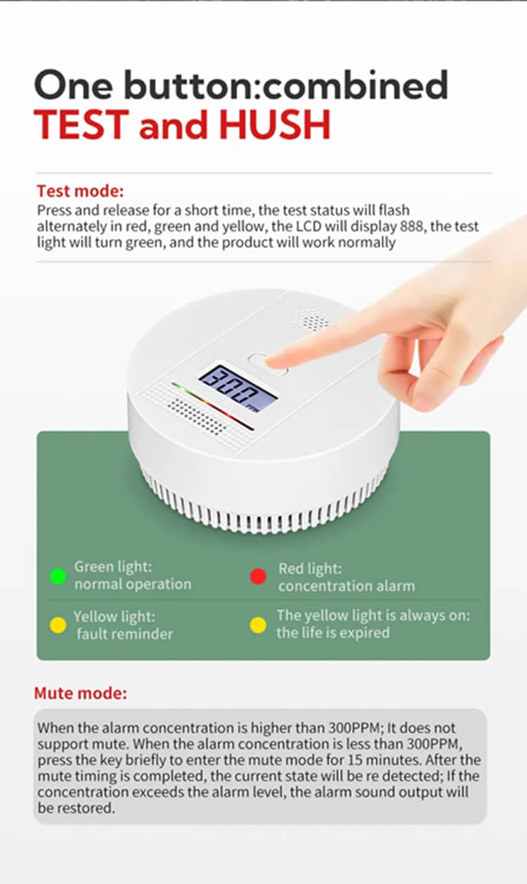 carbon monoxide detector alarm