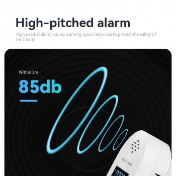 Combustible Gas & CO detector