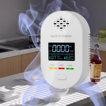 AC 220V 85dB Carbon Monoxide Detector CO Leakage Combustible Gas Alarm