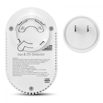 Combustible Gas & CO detector