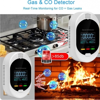 Combustible Gas & CO detector