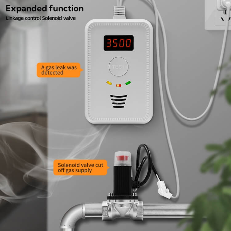 home gas leak detector and automatic solenoid valve