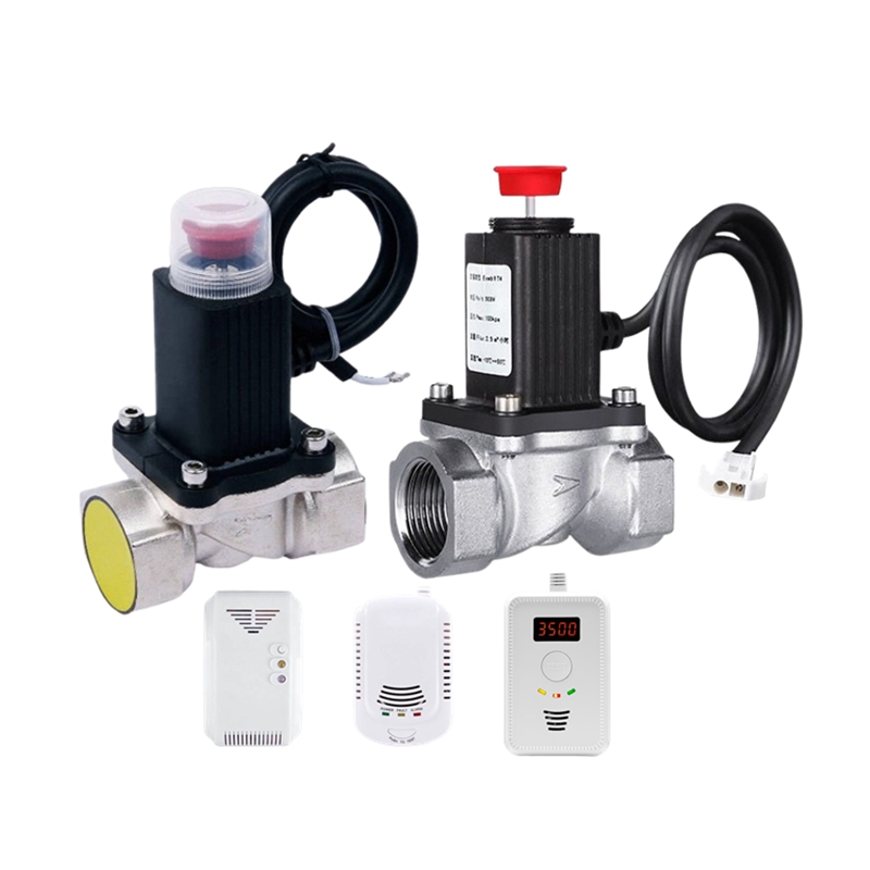 The Silent Guardians: How a Gas Detector and Solenoid Valve Saved My Home