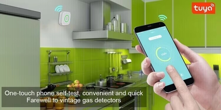 wifi gas alarm