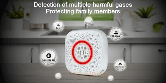 smart gas detector