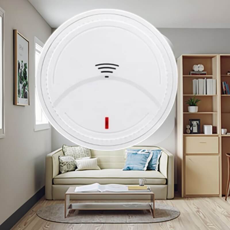 Application and Importance of Standalone Smoke Detectors in Rural Families