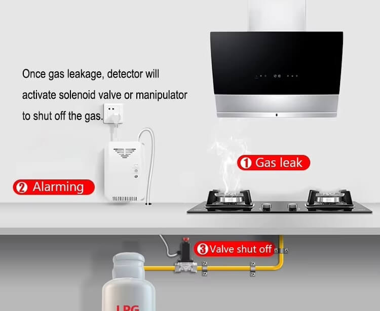 LPG gas shutoff solenoid valve